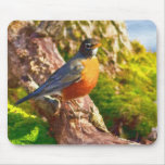 Mousepad with Robin on a Log