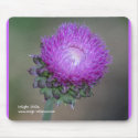 Mousepad with Thistle