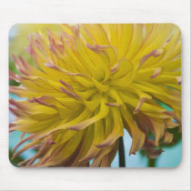 Mousepad, Yellow Dahlia # 179
