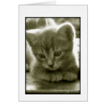 Mouser 3 Card cards