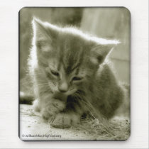 Mouser Grooming Mousepad mousepads