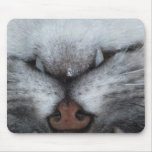 Mousetrap mousepad