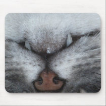 Mousetrap mousepad mousepads