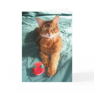 Mousey Catmas Christmas Card card