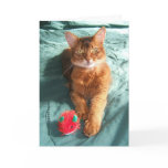 Mousey Catmas Christmas Card