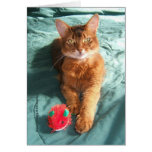 Mousey Catmas Christmas Card