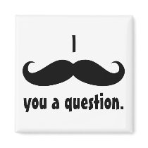 Moustache disguise funny mustache facial hair fridge magnet