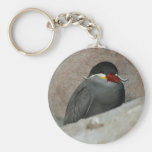 Moustached Bird Keychain