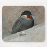 Moustached Bird Mousepad