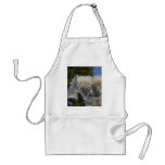 Moutain Goat In Glacier Park aprons