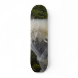 Moutain Goat In Glacier Park Skateboards