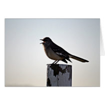 Mouthy Mockingbird (Blank Inside) Cards