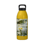 Move It to Lose It water bottles slogans Fitness