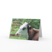 Move Over-Queenie Says cards