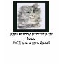 Move the cat t shirt