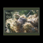 Moved Out West Postcard postcards