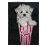 Movie Night Greeting Greeting Card