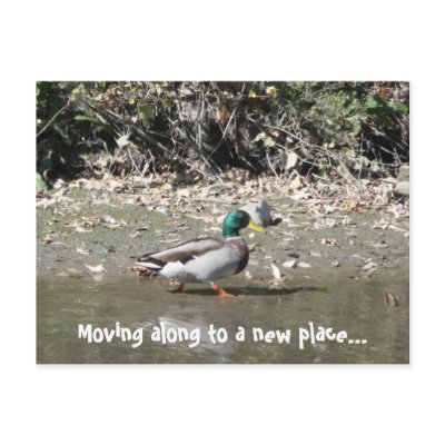 Moving along to a new place... post card by bkang22