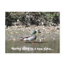 Moving along to a new place... postcards by bkang22 Moving along to a new place... postcards