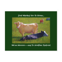 MOVING ANNOUNCEMENT: COWS/PASTURE/ART postcards by joyart MOVING ANNOUNCEMENT: COWS/PASTURE/ART postcards