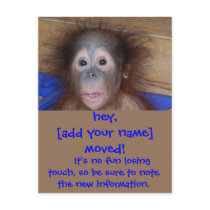 Moving Announcements Cute Face Postcard