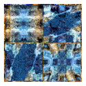 Moving Cytoplasma posters