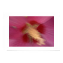 Moving Flower? posters by Johan_den_Hollander Moving Flower? posters