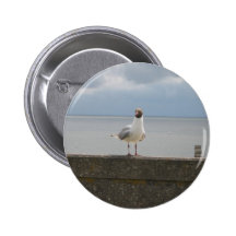 Möwe auf der Mauer Nordsee Button