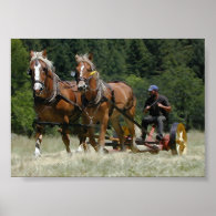 Mowing Hay Poster