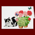 Moxie Cat and the Butterflies Card cards