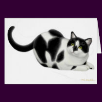 Moxie the Cat Card
