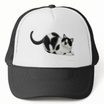 Moxie the Cat Hat 