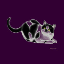 Moxie the Cat Ladies Baby Doll Shirt