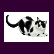 Moxie the Cat Petite T-Shirt