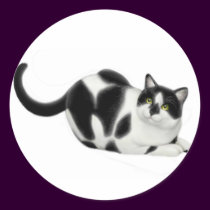 Moxie the Cat Sticker