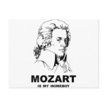 Mozart Is My Homeboy Post Cards