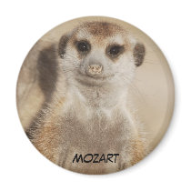 Mozart Magnet
