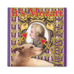 MOZART magnets