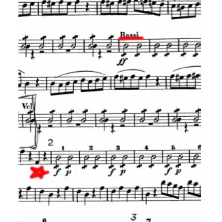 Mozart shirt