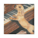 Mozart's Apprentice magnets