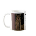 Mozty at School Mugs