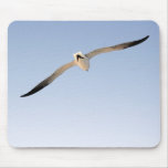 MP 6538 Seagull Watercolor Styel Mouse Mat