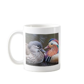 Mr and Mrs Mandarin Mug mug