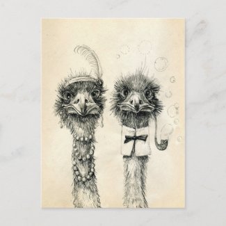 Mr. and Mrs. Ostrich