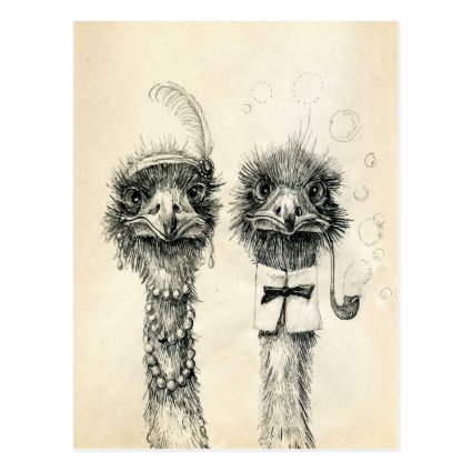 Mr. and Mrs. Ostrich Post Card