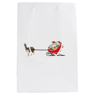 Mr. And Mrs. Santa Claus Medium Gift Bag