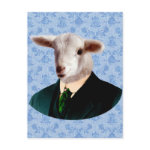 Mr  Bauer - Sheep: Post Cards