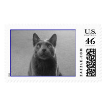 Mr Bear 2005 Stamps