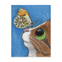 Mr Biggles and the Orange Tip - Cat Postcard