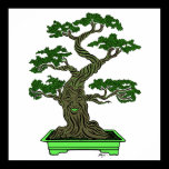 Mr. Bonsai posters